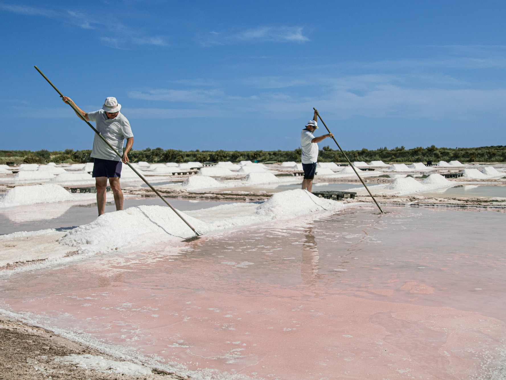 Salinas_Salt-Facts_Sea-Salt_-2_2000-1400