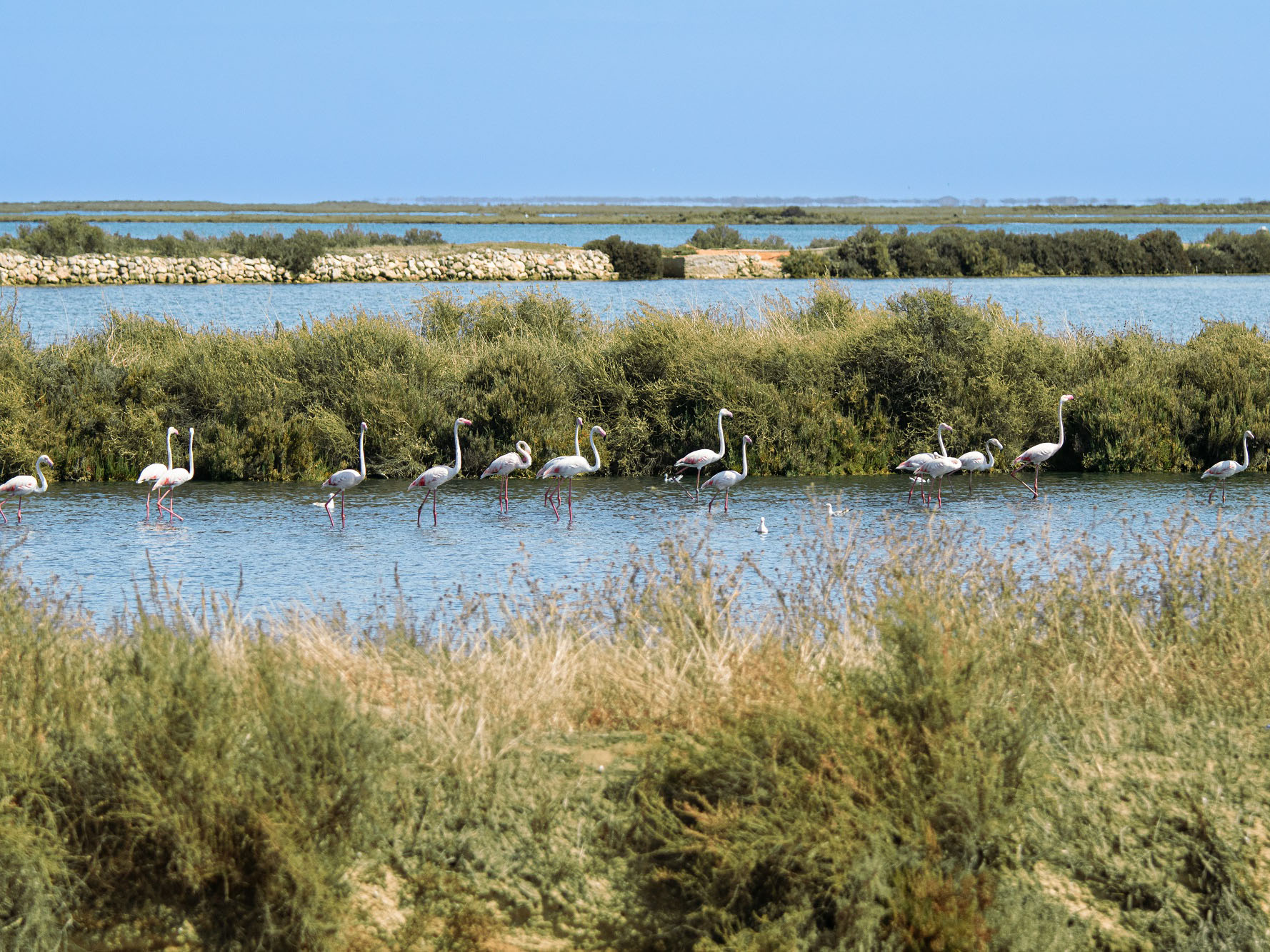 Salinas_About-us-nature_2000-1400