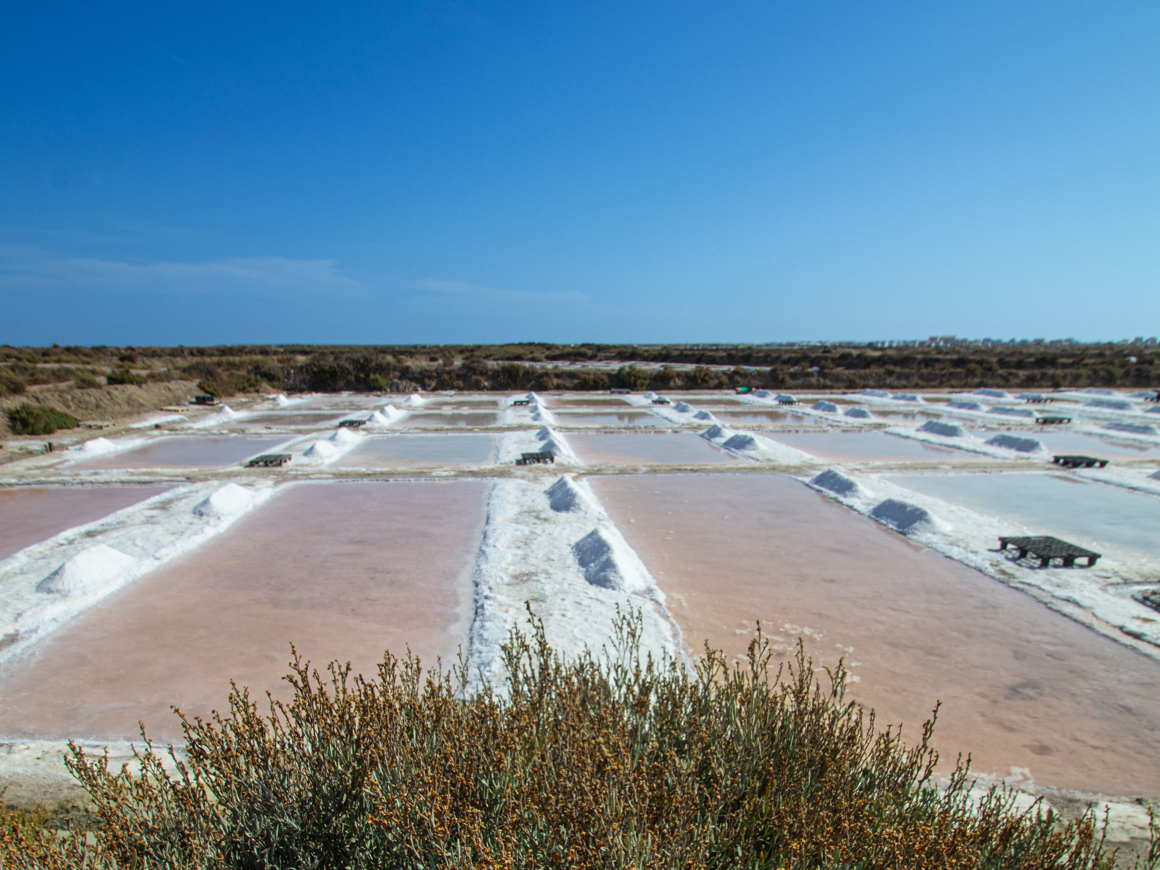 Salinas_About-us-ponds_2000-1400