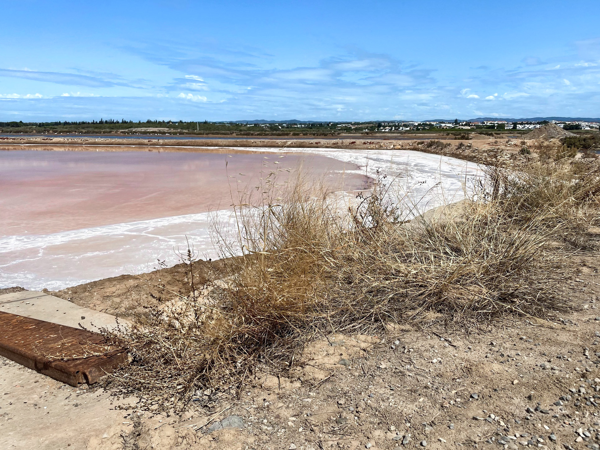 Salinas_Salt-Facts-Sea-Salt_2000-1400